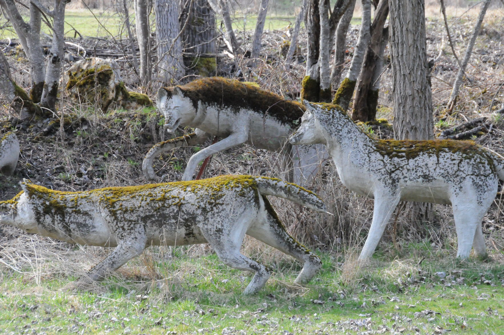 Wolf sculptures